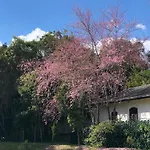 Ninho Dos Passaros Chales