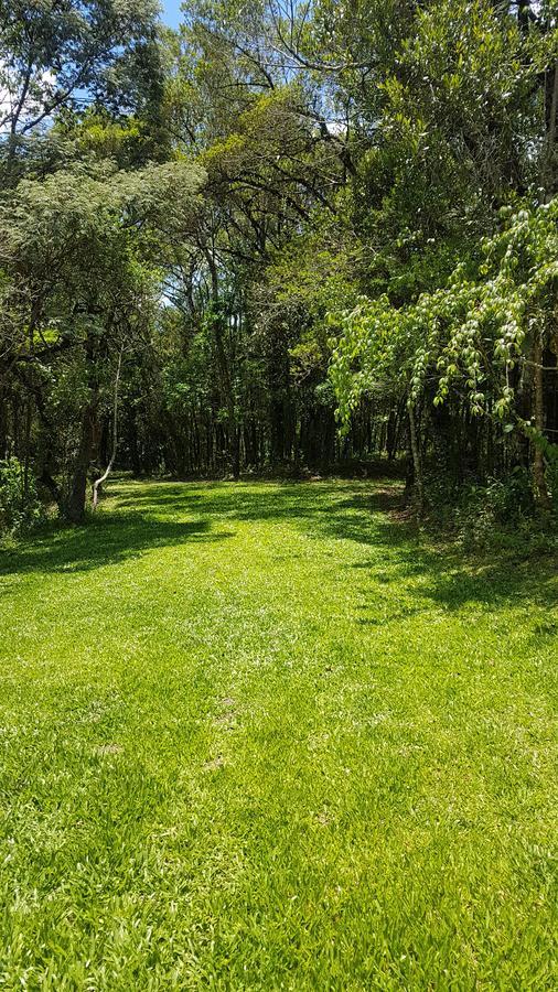 Ninho Dos Passaros * Monte Verde (Minas Gerais)